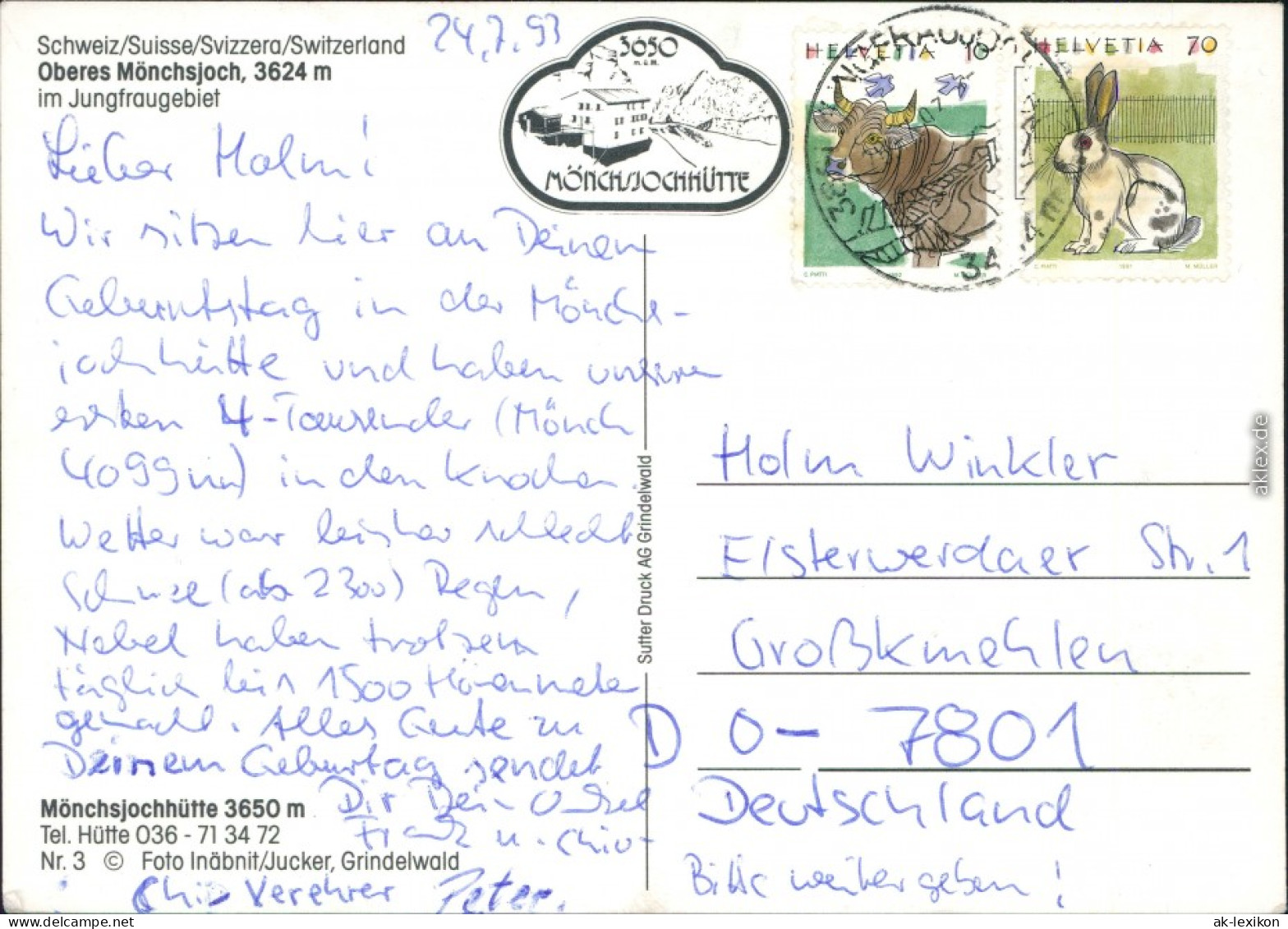 Ansichtskarte Lauterbrunnen Mönchsjoch Hütte - Panorama 1993 - Altri & Non Classificati