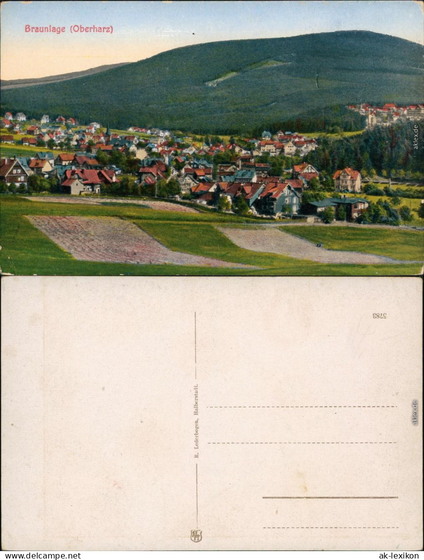 Ansichtskarte Braunlage Panorama-Ansicht 1913 - Braunlage