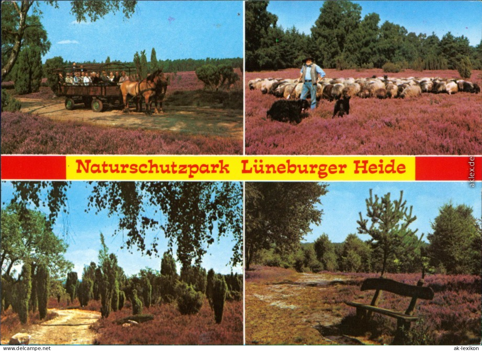 _Niedersachsen Allgemein Felder, Wiesen, Schafe, Kutsche, Landschaft 1998 - Lüneburger Heide