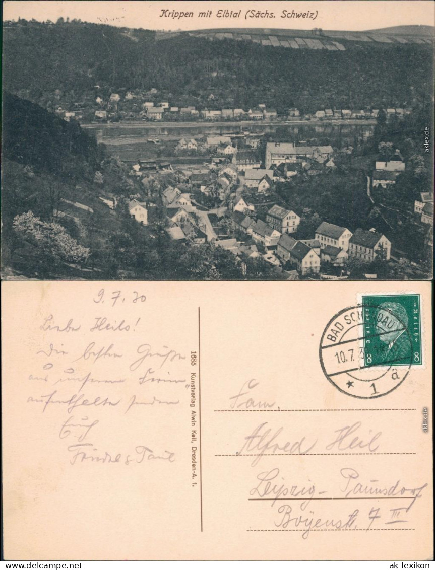 Ansichtskarte Krippen-Bad Schandau Panorama 1931 - Bad Schandau