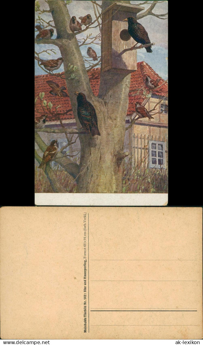 Ansichtskarte  Künstlerkarte: Vögel Auf Baum 1918 - Paintings