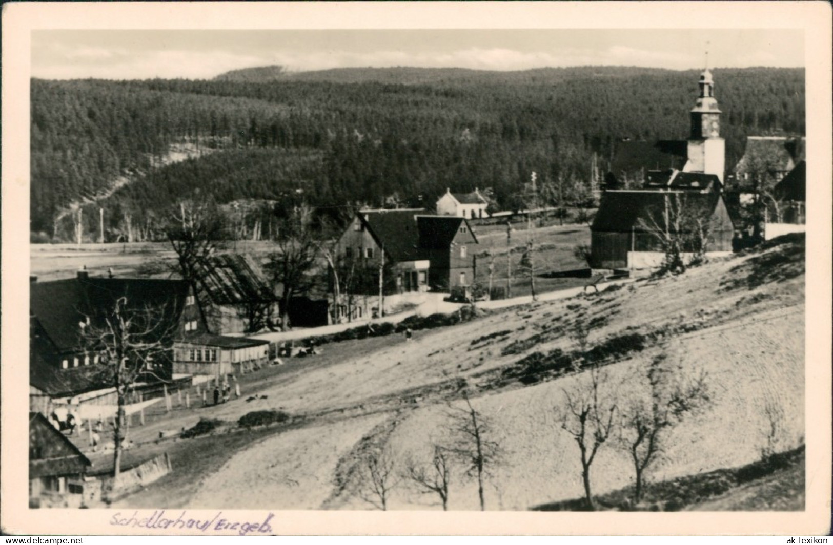 Ansichtskarte Schellerhau-Altenberg (Erzgebirge) Häuser Im Ort Am Hang 1956 - Schellerhau