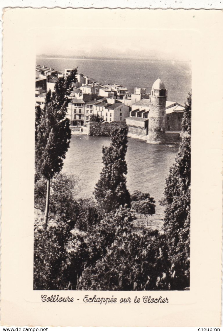 66. COLLIOURE . CPA. ECHAPPEE SUR LE CLOCHER. + TEXTE ANNEE 1974 - Collioure