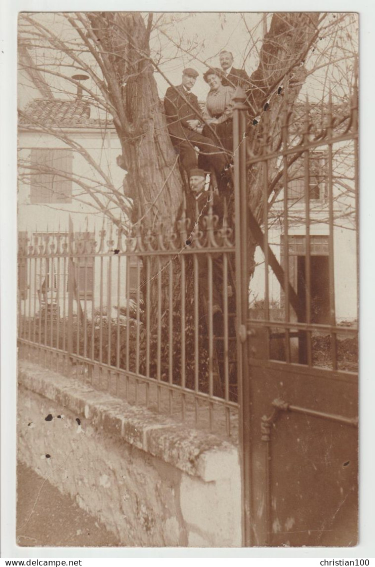 CARTE PHOTO - ARBRE - DES AMIS MONTES SUR UN SUPERBE ACACIA DANS UN JARDIN - ECRITE EN 1910 - 2 SCANS - - Bomen