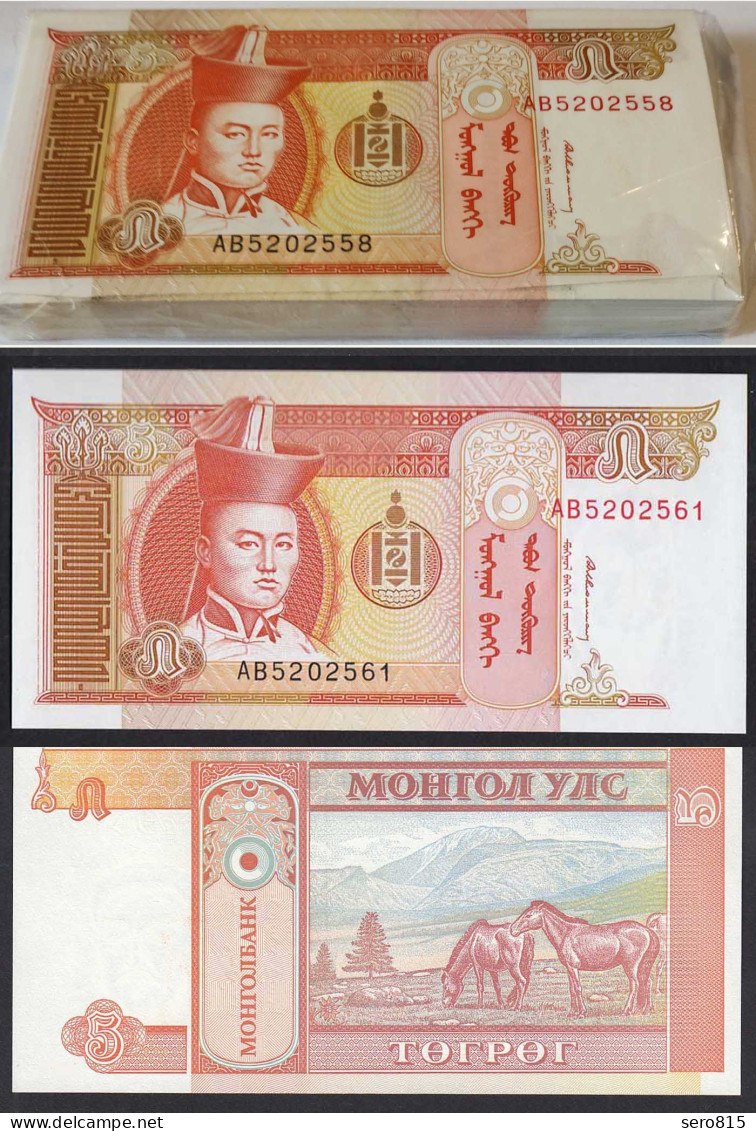 Mongolei - Mongolia 5 Tugrik 1993 Bundle á 100 Stück Pick 53 UNC (1)    (90144 - Sonstige – Asien
