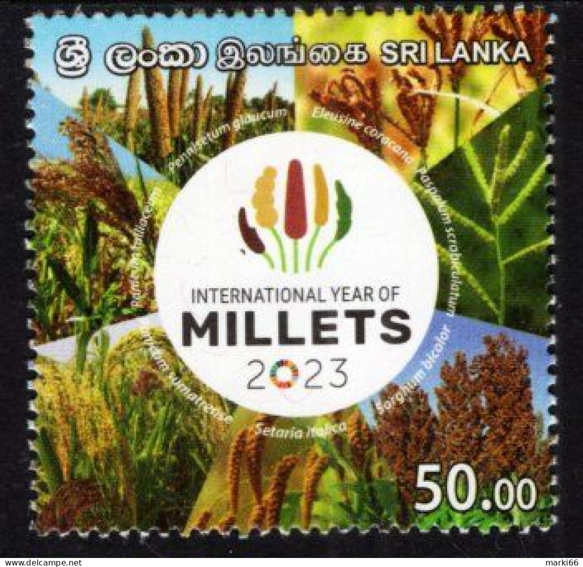 Sri Lanka - 2023 - International Year Of Millets - Mint Stamp - Sri Lanka (Ceylon) (1948-...)