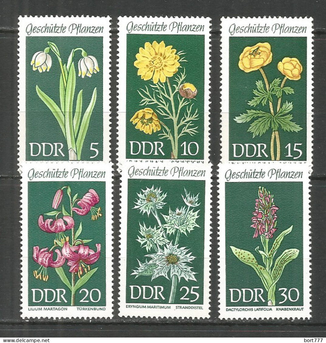 Germany DDR 1969 Year MNH(**) Mi.# 1456-61 Flowers - Unused Stamps