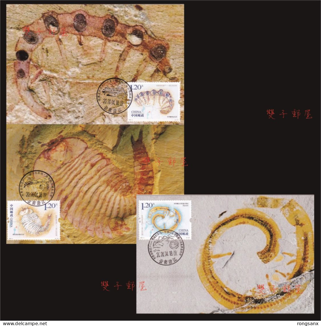 2024-4 China Chengjiang Fossil Land LOCAL MC-S - Tarjetas – Máxima