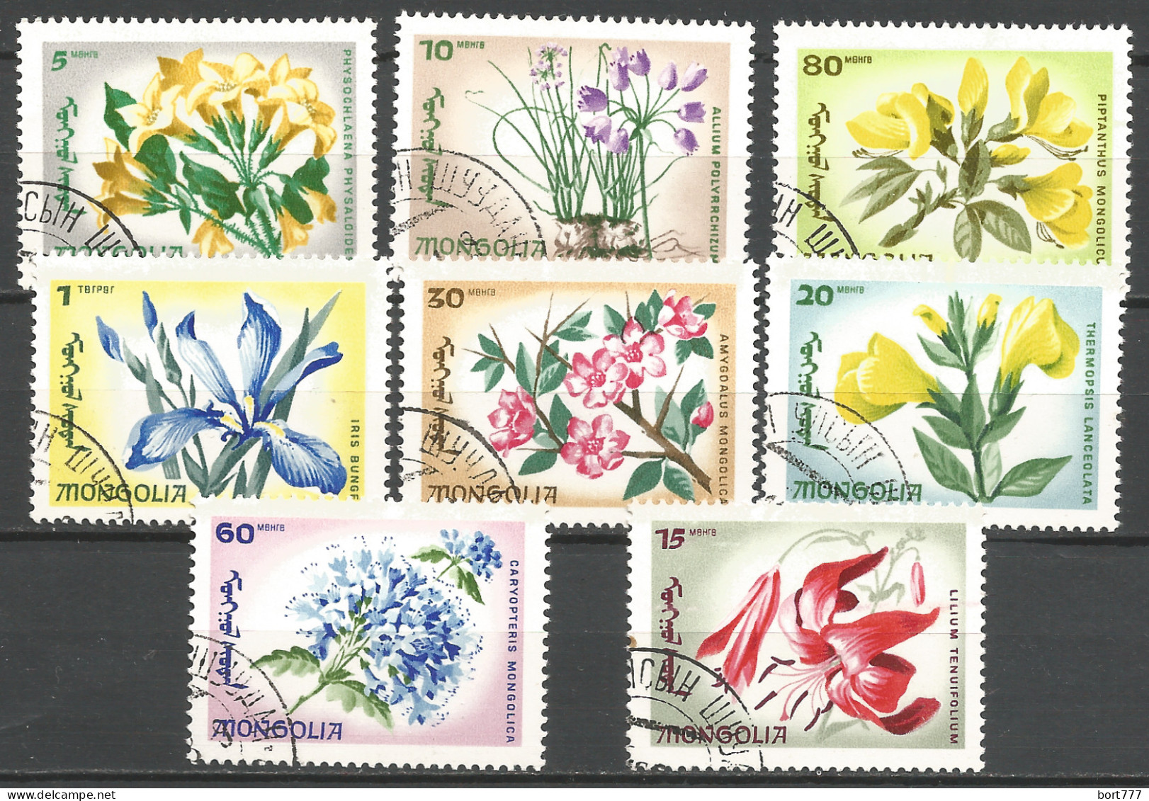 Mongolia 1966 Used Stamps CTO Flowers - Mongolia