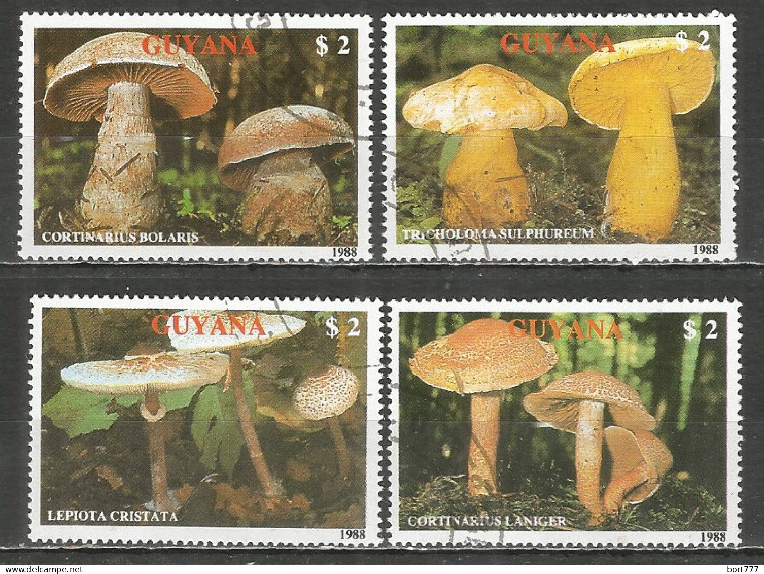 Guyana 1989 Used CTO Stamps Set Mushrooms - Guyana (1966-...)