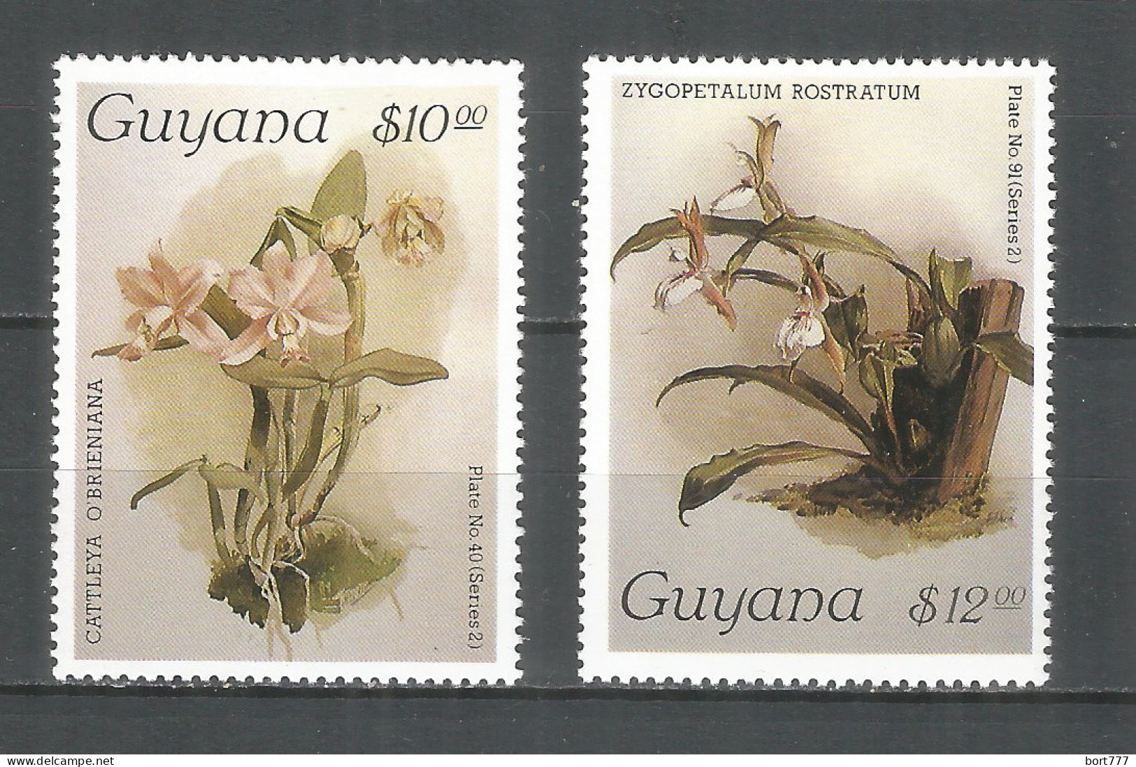 Guyana 1988 Mint Stamps Set MNH (**)  Flowers - Guyane (1966-...)