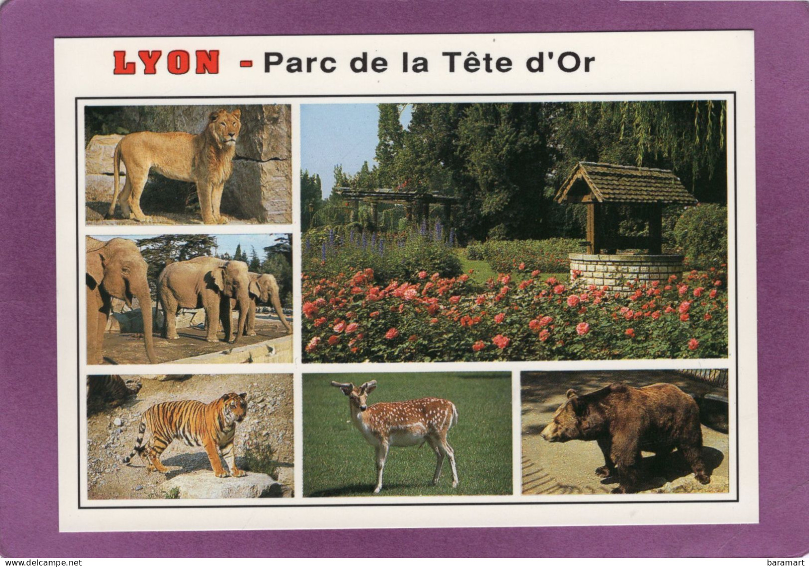 69 LYON 6 Parc De La Tête D'Or Multivues Puits  Animaux Lion Éléphants Tigre Daim Ours - Lyon 6