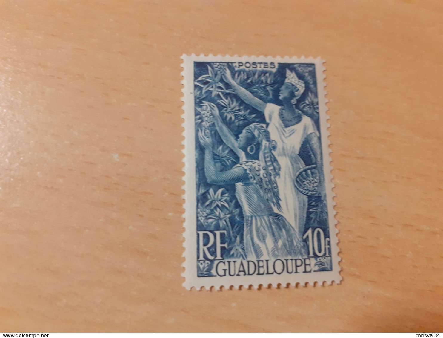 TIMBRE   GUADELOUPE       N  209    COTE  1,25   EUROS  NEUF  TRACE  CHARNIERE - Ongebruikt