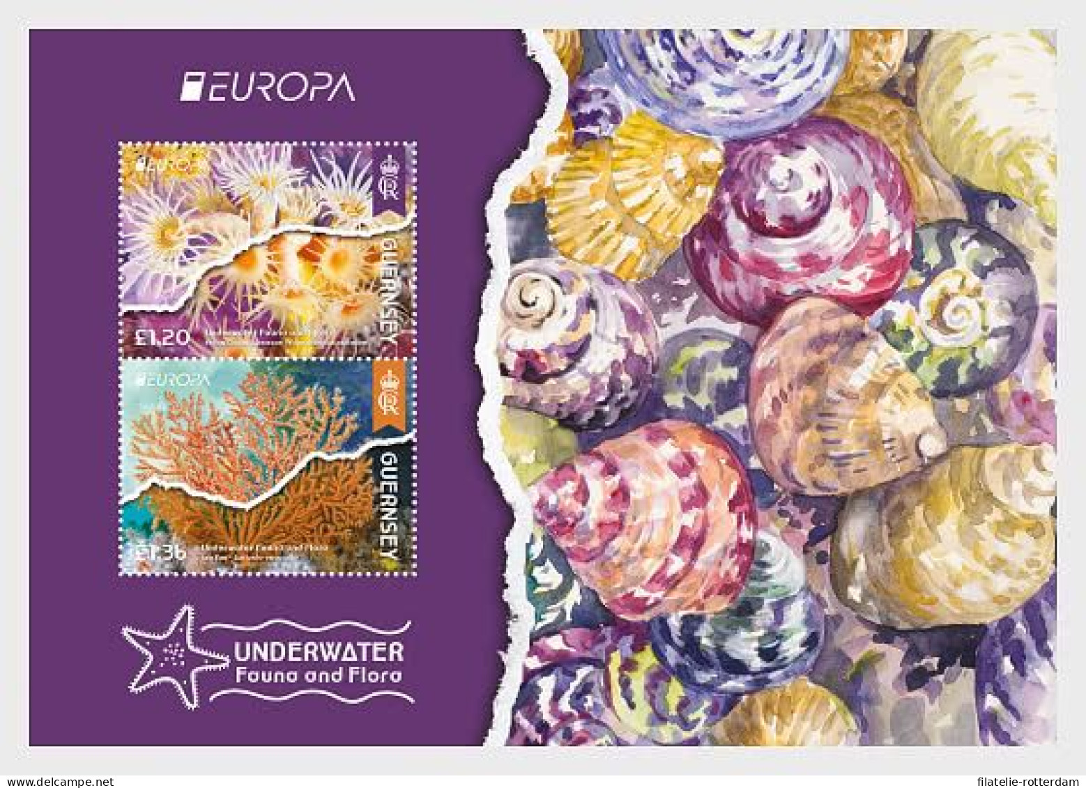 Guernsey - Postfris / MNH - Sheet Europa, Underwater World 2024 - Guernesey
