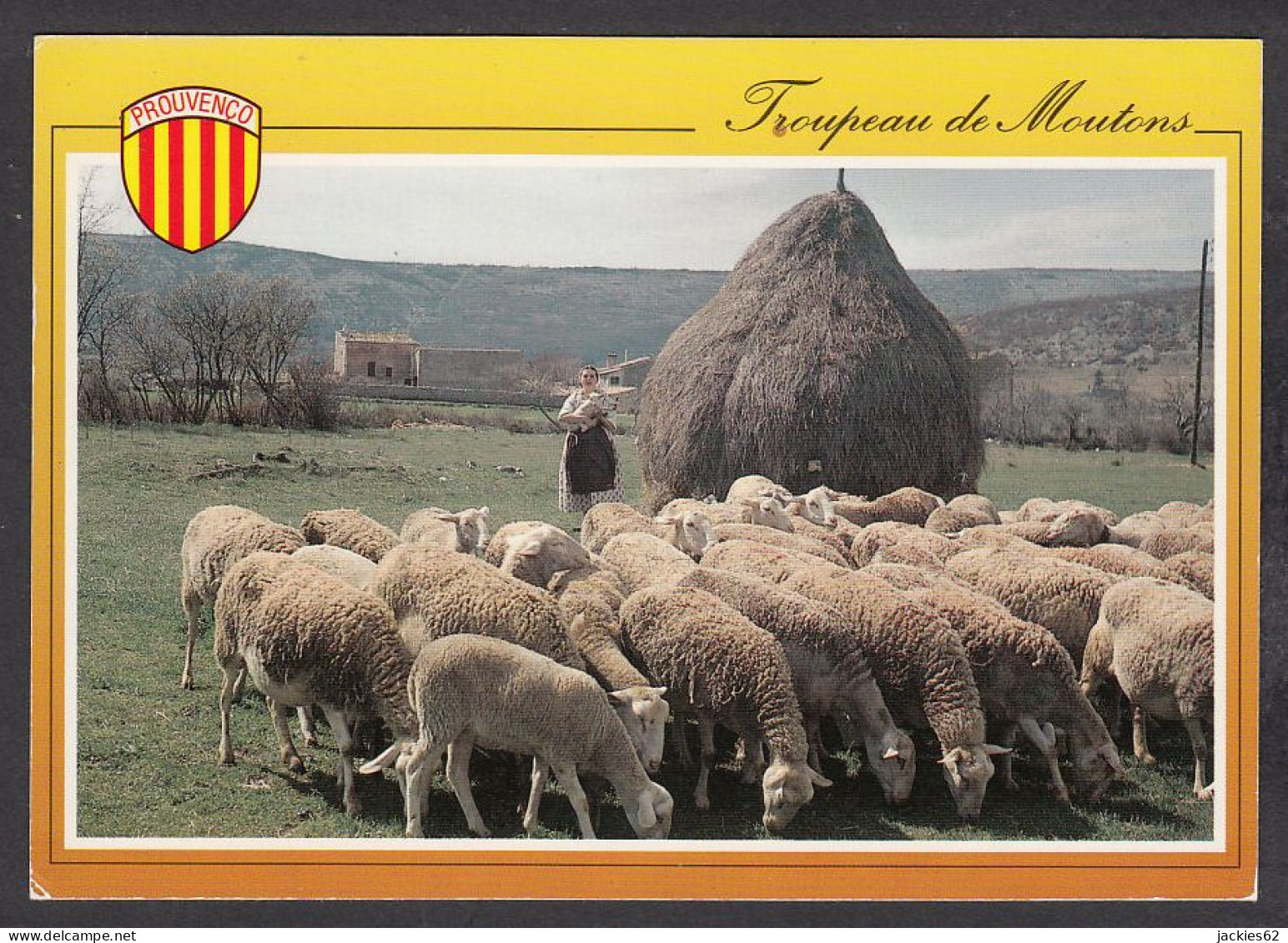 081873/ PROVENCE, Troupeau De Moutons - Provence-Alpes-Côte D'Azur