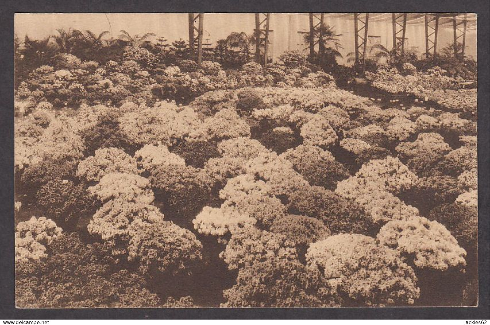 104835/ GENT, Gentse Floraliën 1933 - Gent