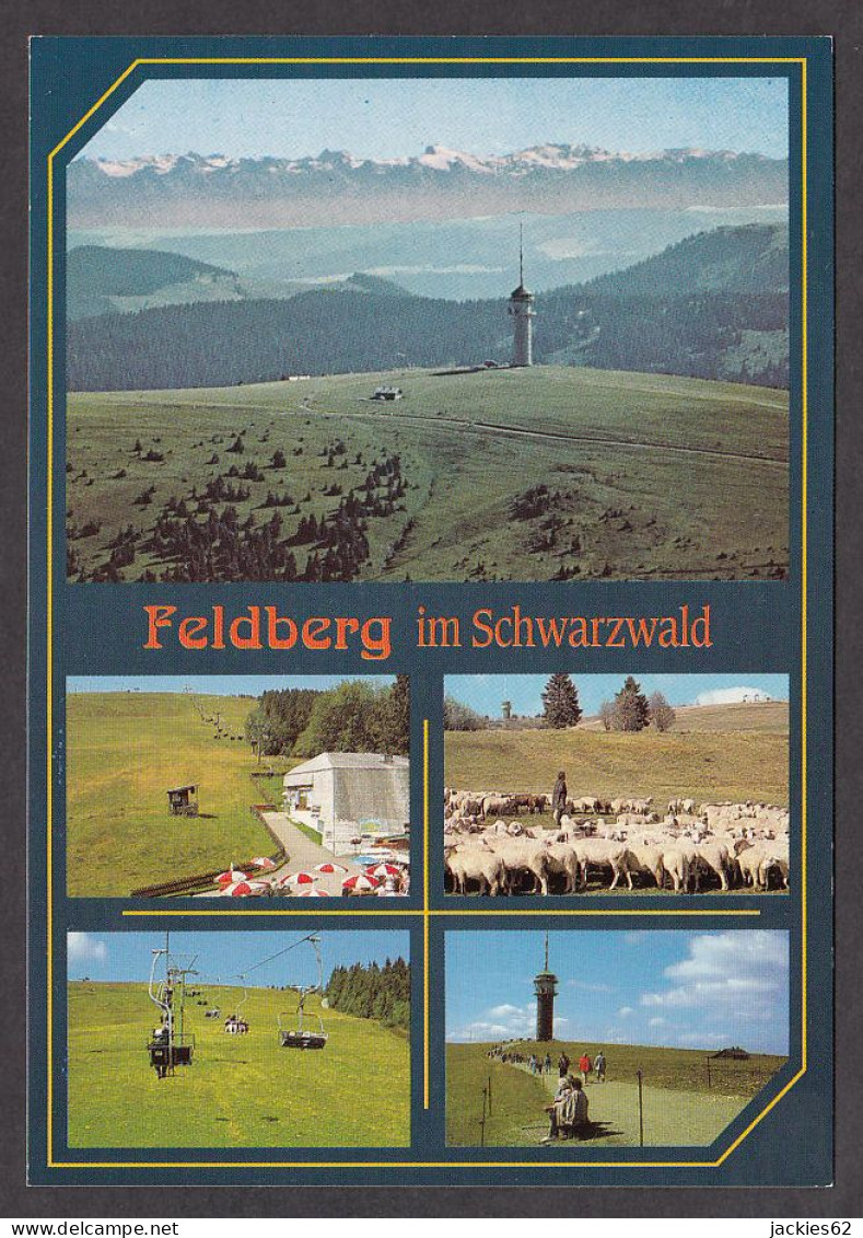 068940/ FELDBERG Im Schwarzwald - Feldberg