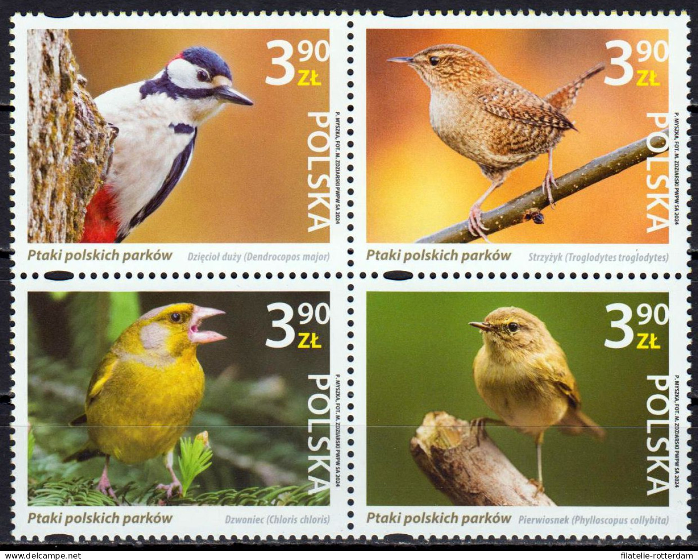 Poland / Polen - Postfris / MNH - Complete Set Birds 2024 - Nuevos