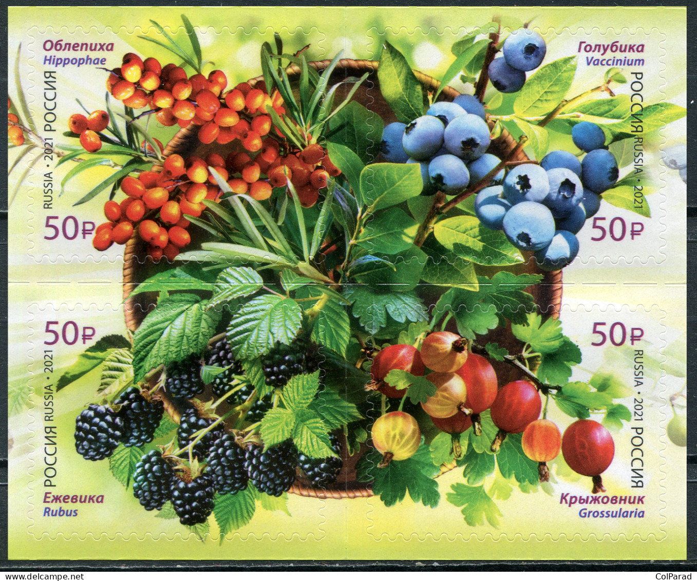 RUSSIA - 2021 - BLOCK OF 4 STAMPS MNH ** - Flora Of Russia. Berries - Unused Stamps