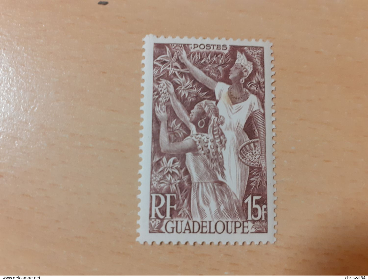 TIMBRE   GUADELOUPE       N  210    COTE  1,75   EUROS  NEUF TRACE  CHARNIERE - Unused Stamps