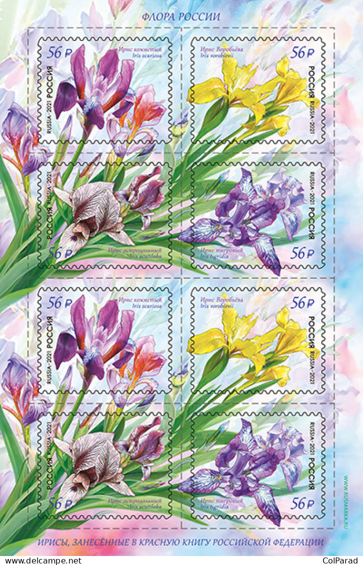 RUSSIA - 2021 - MINIATURE SHEET MNH ** - The Red Book. Irises - Unused Stamps