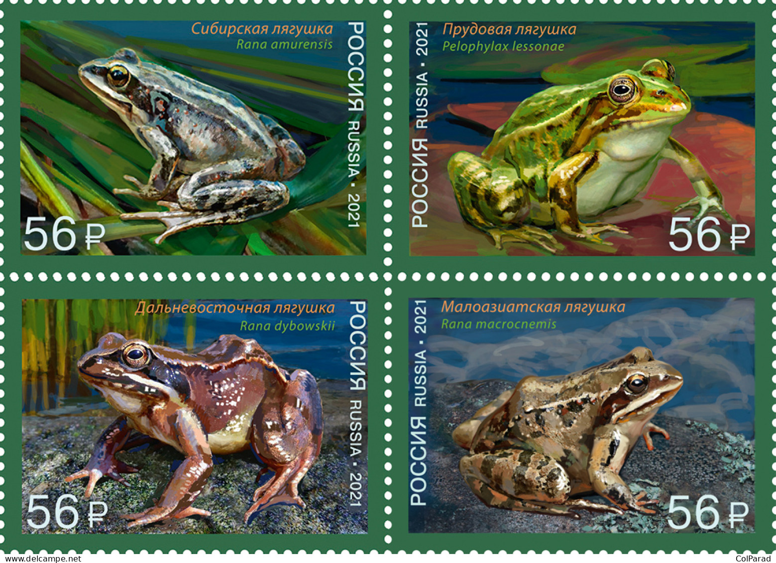 RUSSIA - 2021 - BLOCK OF 4 STAMPS MNH ** - Fauna Of Russia. Frogs - Neufs