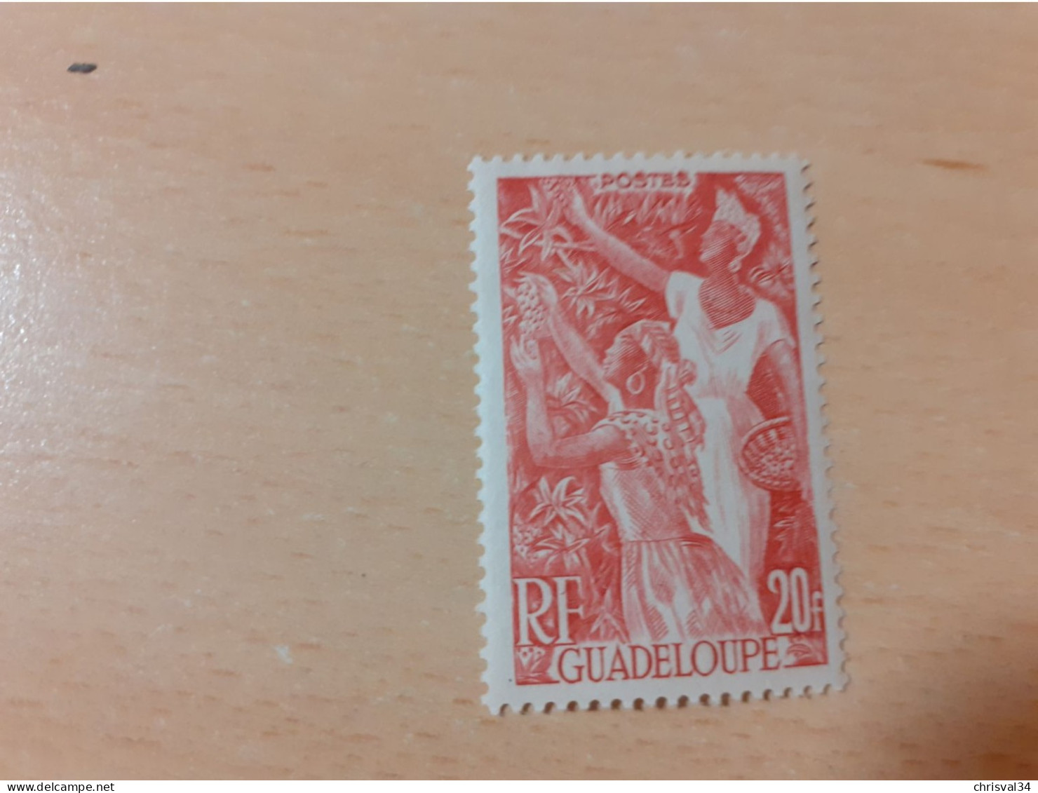 TIMBRE   GUADELOUPE       N  211    COTE  2,25   EUROS  NEUF  TRACE  CHARNIERE - Ungebraucht