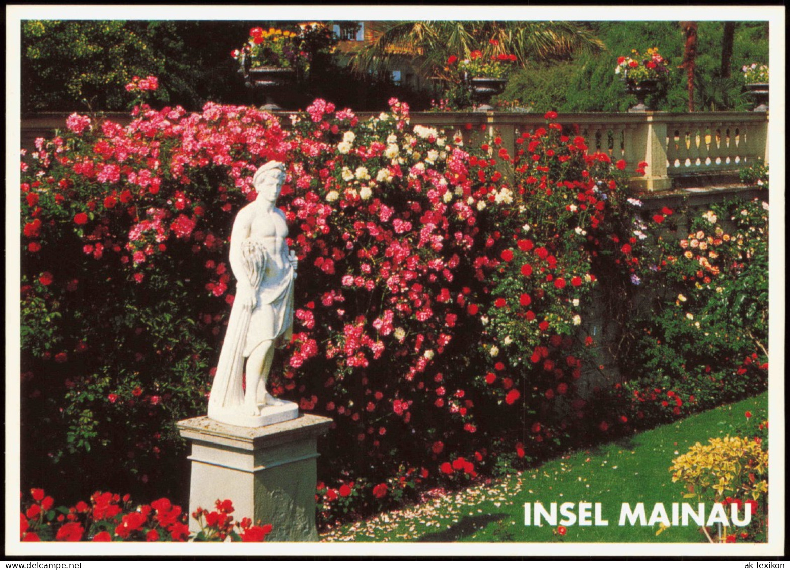 Ansichtskarte Insel Mainau-Konstanz Italienischer Rosengarten Mit Statue 2000 - Konstanz