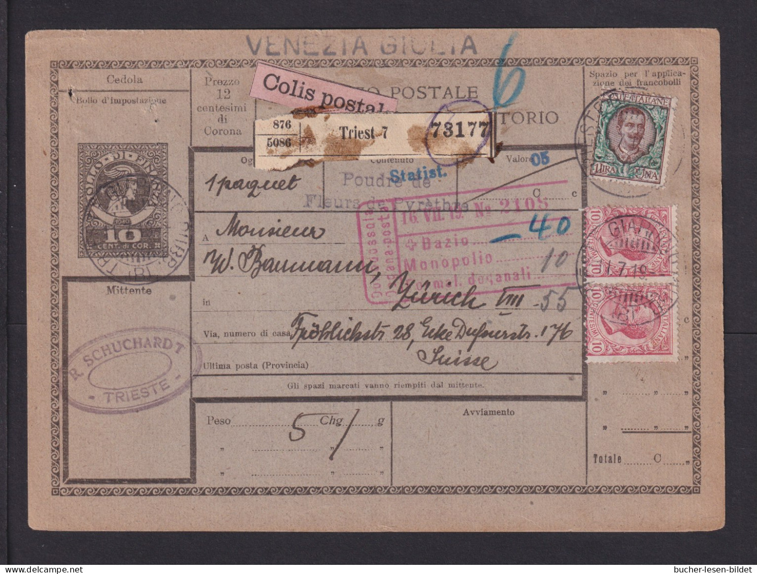 1919 - 10 C. Paketkarte "VENZIA GIULA" Ab Triest 7 Nach Zürich - Venezia Julia