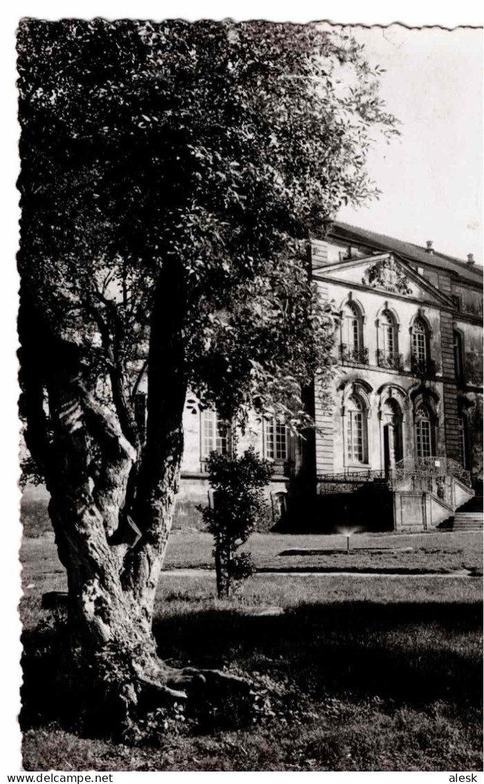 ECHTERNACH - Musée De L'Abbaye - Echternach