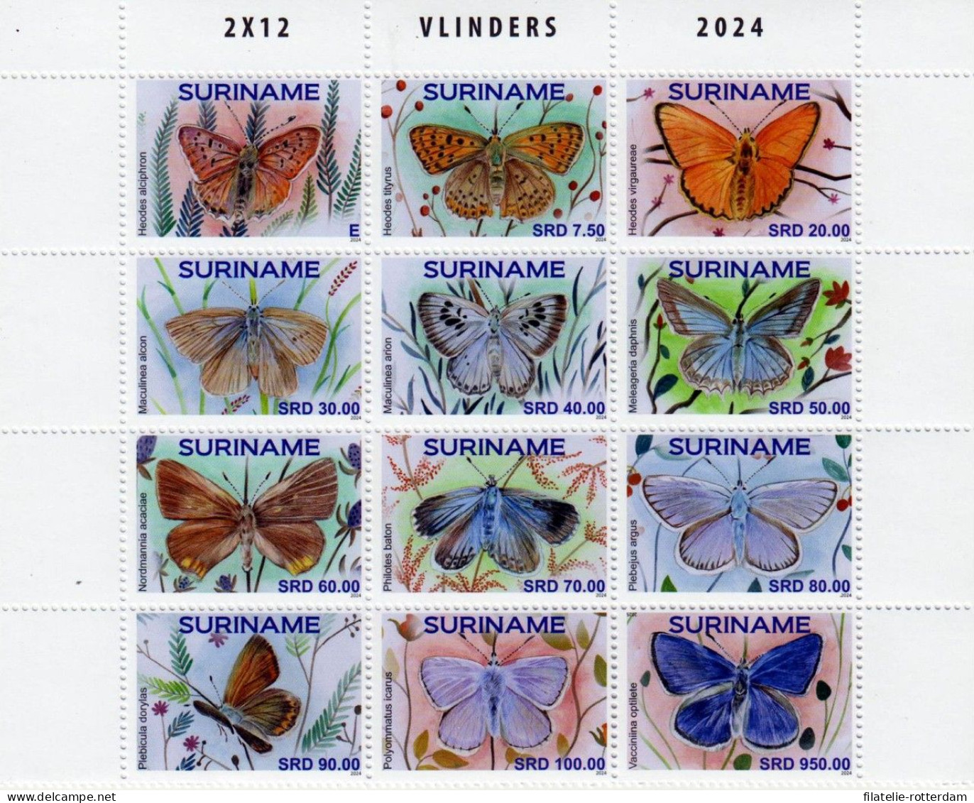 Surinam / Suriname - Postfris / MNH - Sheet Butterflies 2024 - Surinam