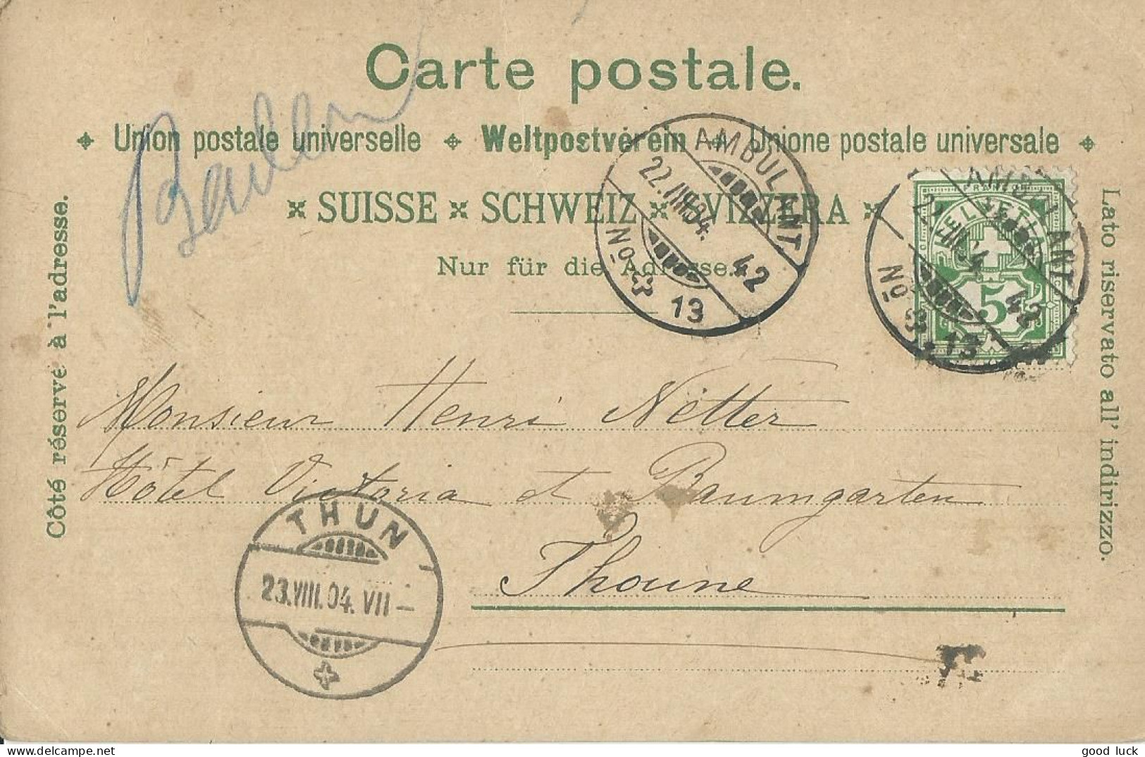 SUISSE CARTE 5c  AMBULANT N° 13 POUR THUN DE 1904 LETTRE COVER - Storia Postale