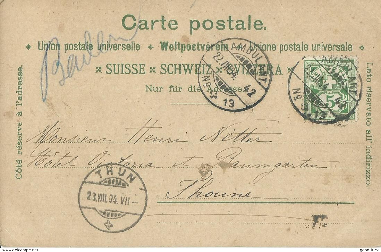 SUISSE CARTE 5c  AMBULANT N° 13 POUR THUN DE 1904 LETTRE COVER - Covers & Documents