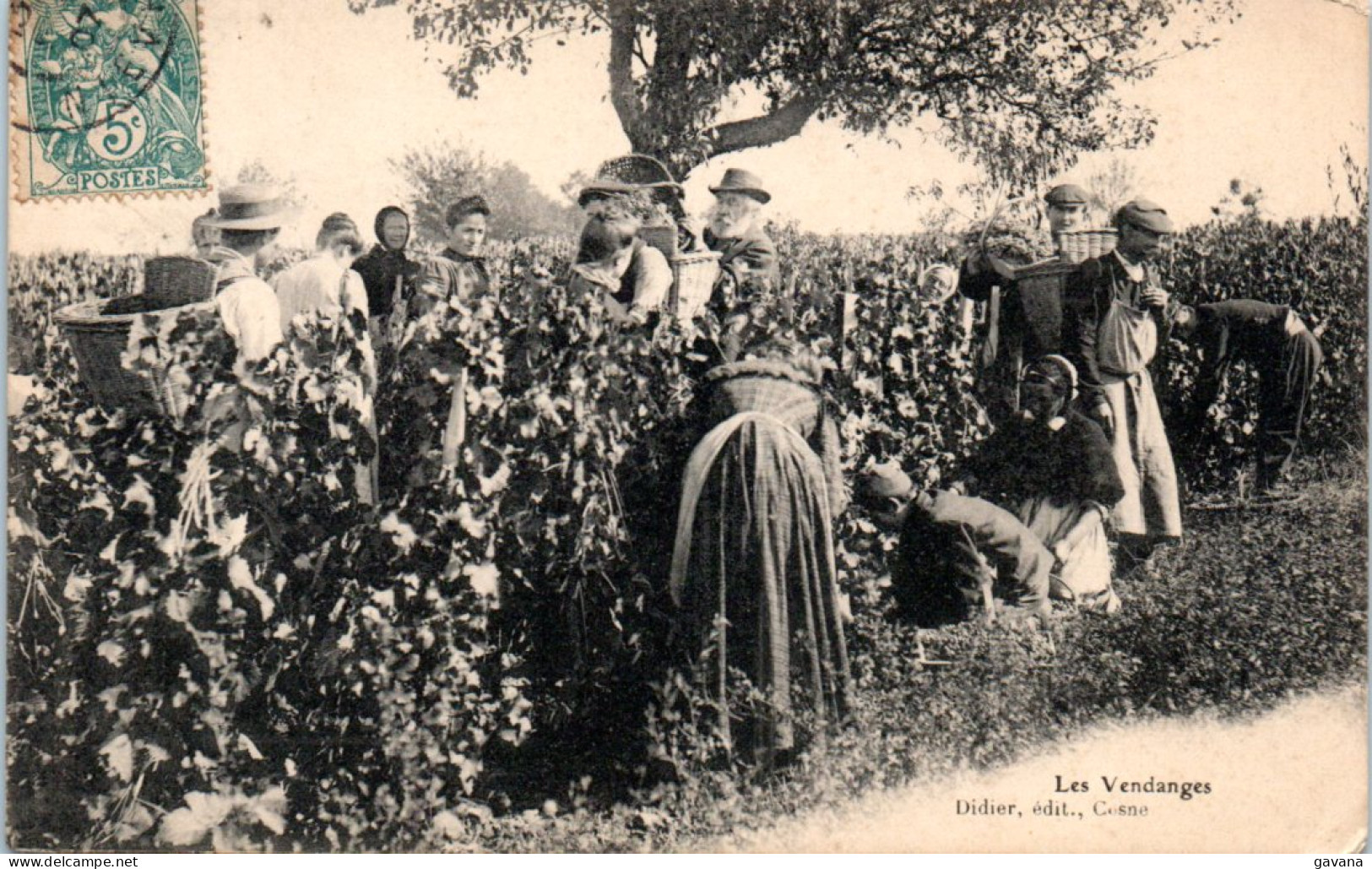 58 Les Vendanges (éditeur  Cosne) - Cosne Cours Sur Loire