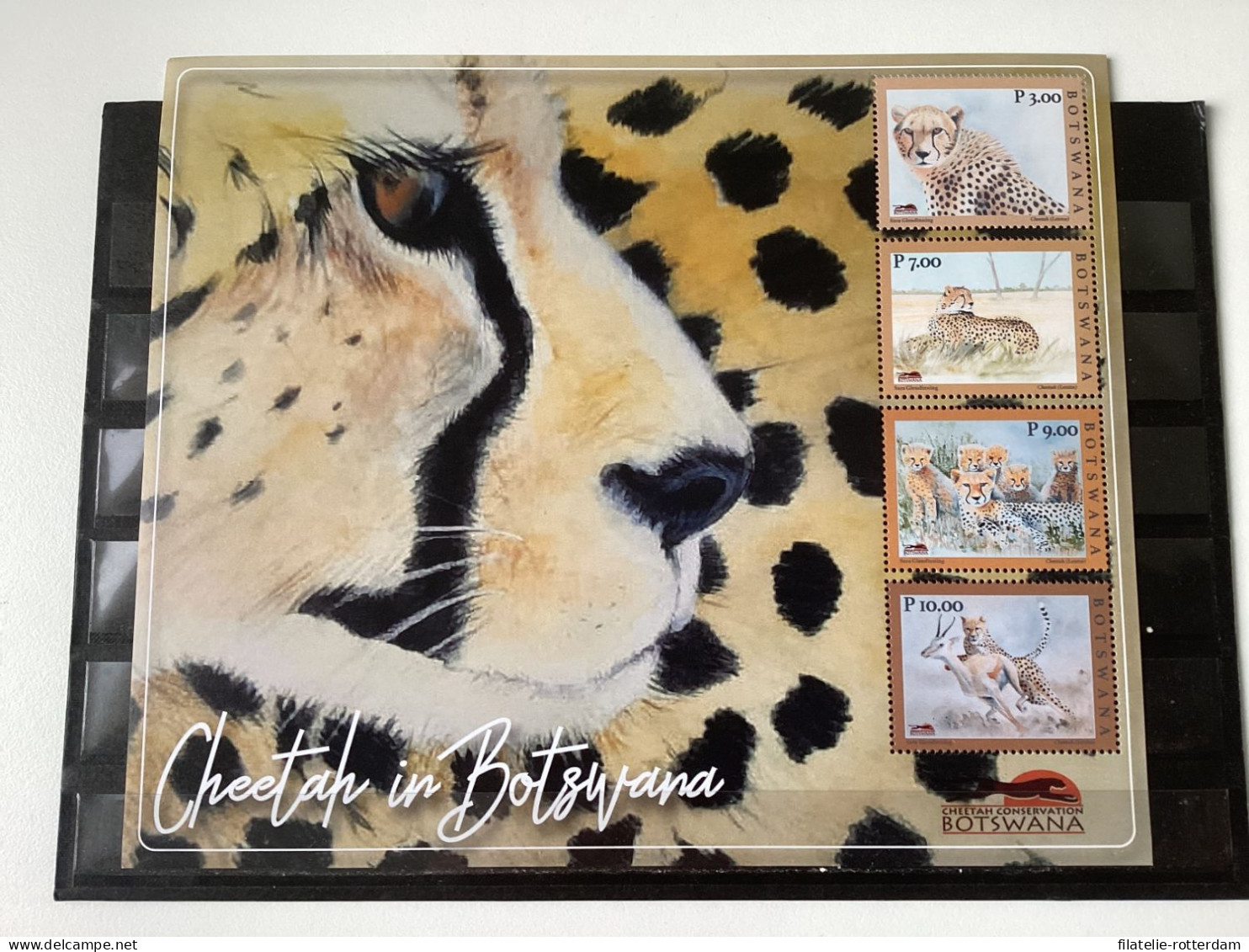 Botswana - Postfris / MNH - Sheet Cheetah In Botswana 2021 - Botswana (1966-...)