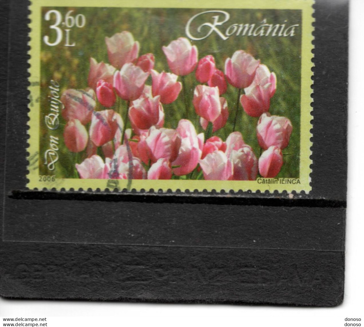 ROUMANIE 2006  Fleurs TULIPES Don Quichotte  Yvert 5088 Oblitéré - Used Stamps
