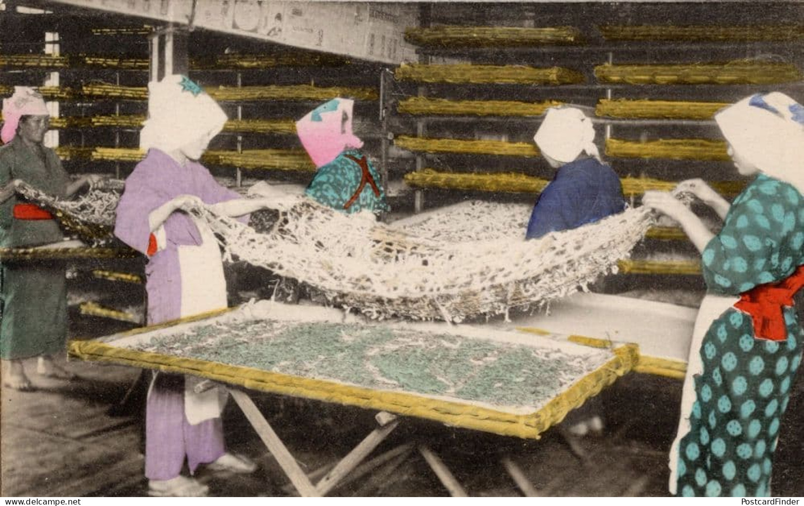 Japan Tokyo Silk Worms Taking Their Third Sleep Silkworm Old Postcard - Other & Unclassified