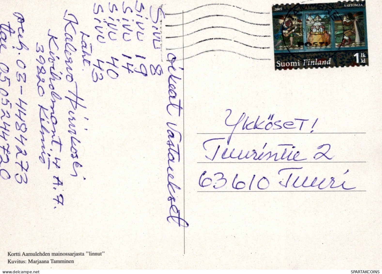OISEAU Animaux Vintage Carte Postale CPSM #PAM714.A - Uccelli