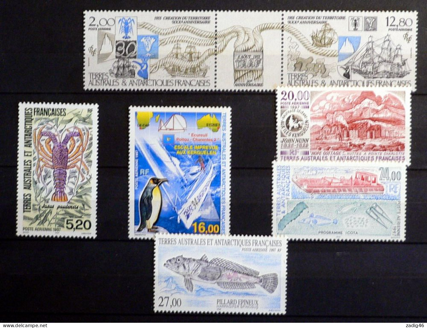 TERRES AUSTRALES -ET ANTARCTIQUES FRANCAISES - PETIT LOT DE 50 TIMBRES NEUFS SANS CHARNIERES ** 3 SCANS - Collections, Lots & Series