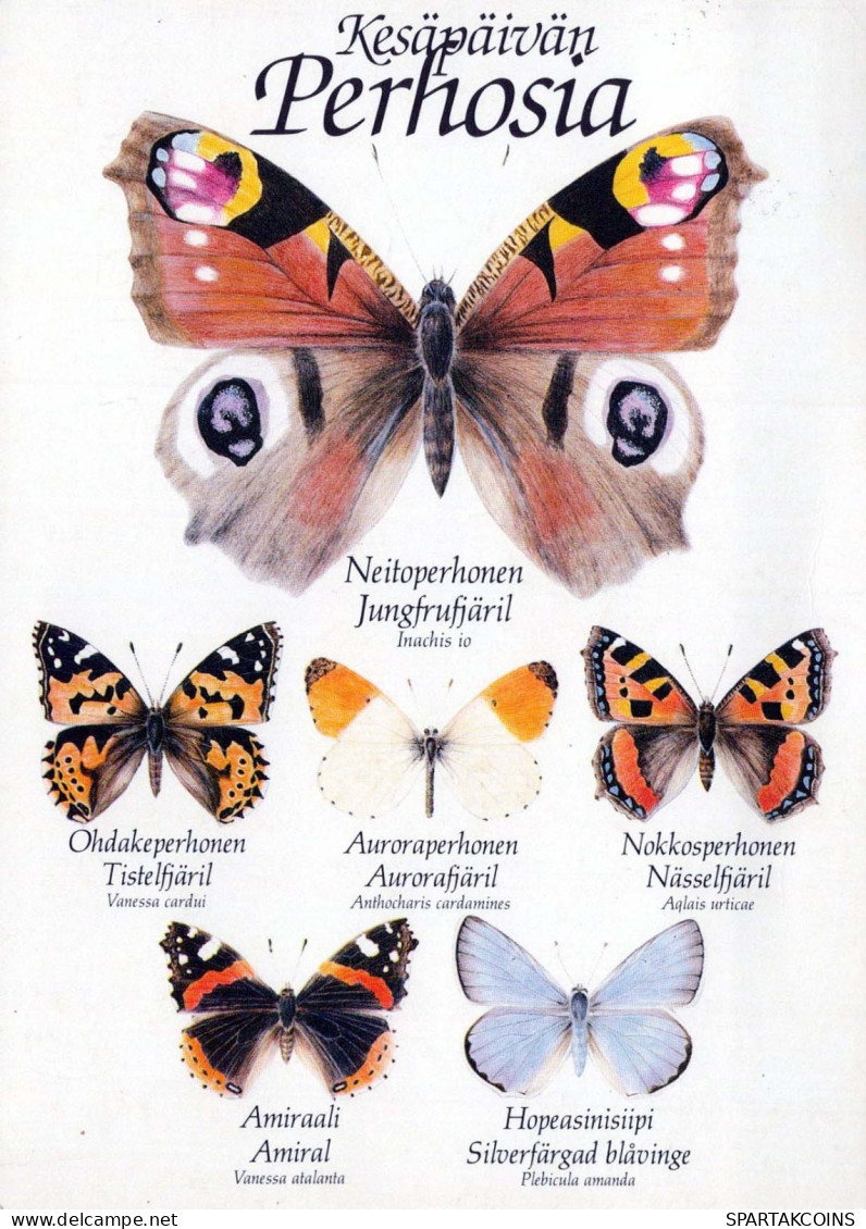 SCHMETTERLINGE Tier Vintage Ansichtskarte Postkarte CPSM #PBS449.A - Mariposas
