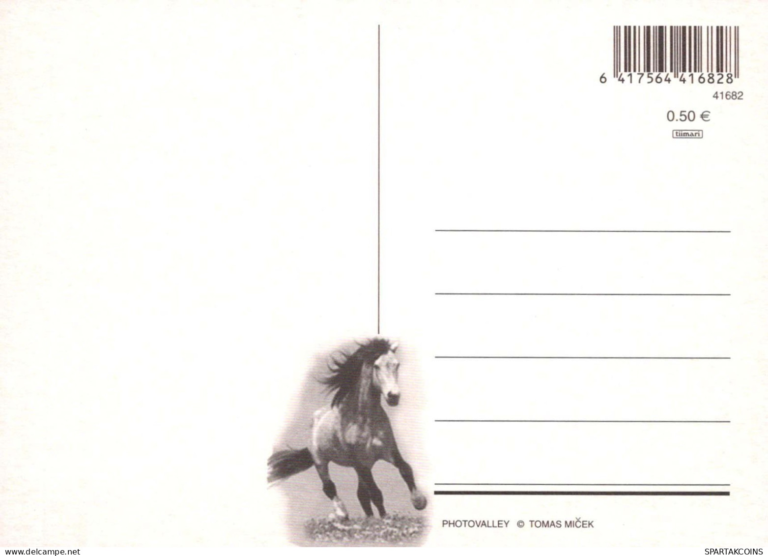 CABALLO Animales Vintage Tarjeta Postal CPSM #PBR915.A - Horses