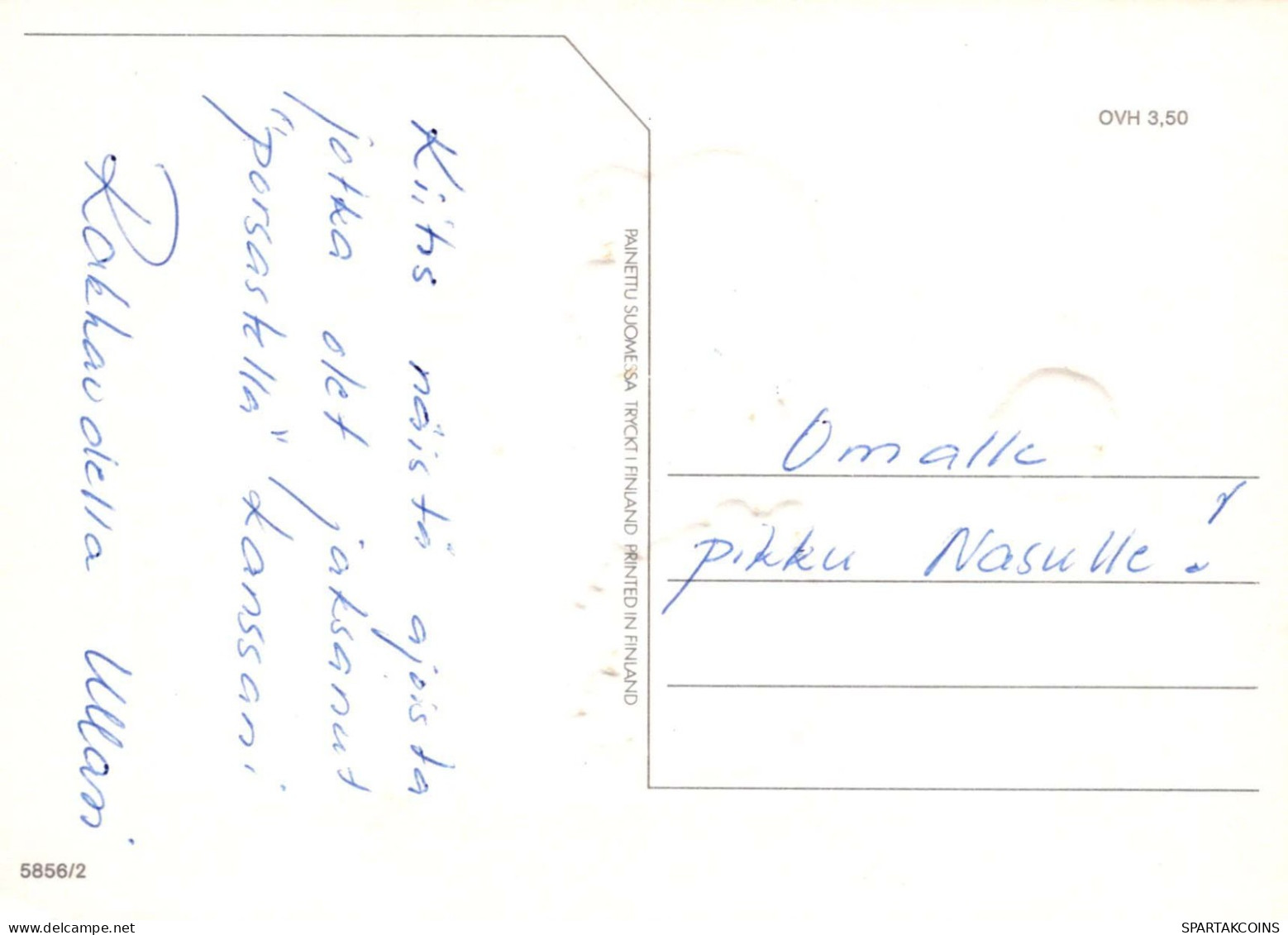 PIGS Tier Vintage Ansichtskarte Postkarte CPSM #PBR773.A - Cochons