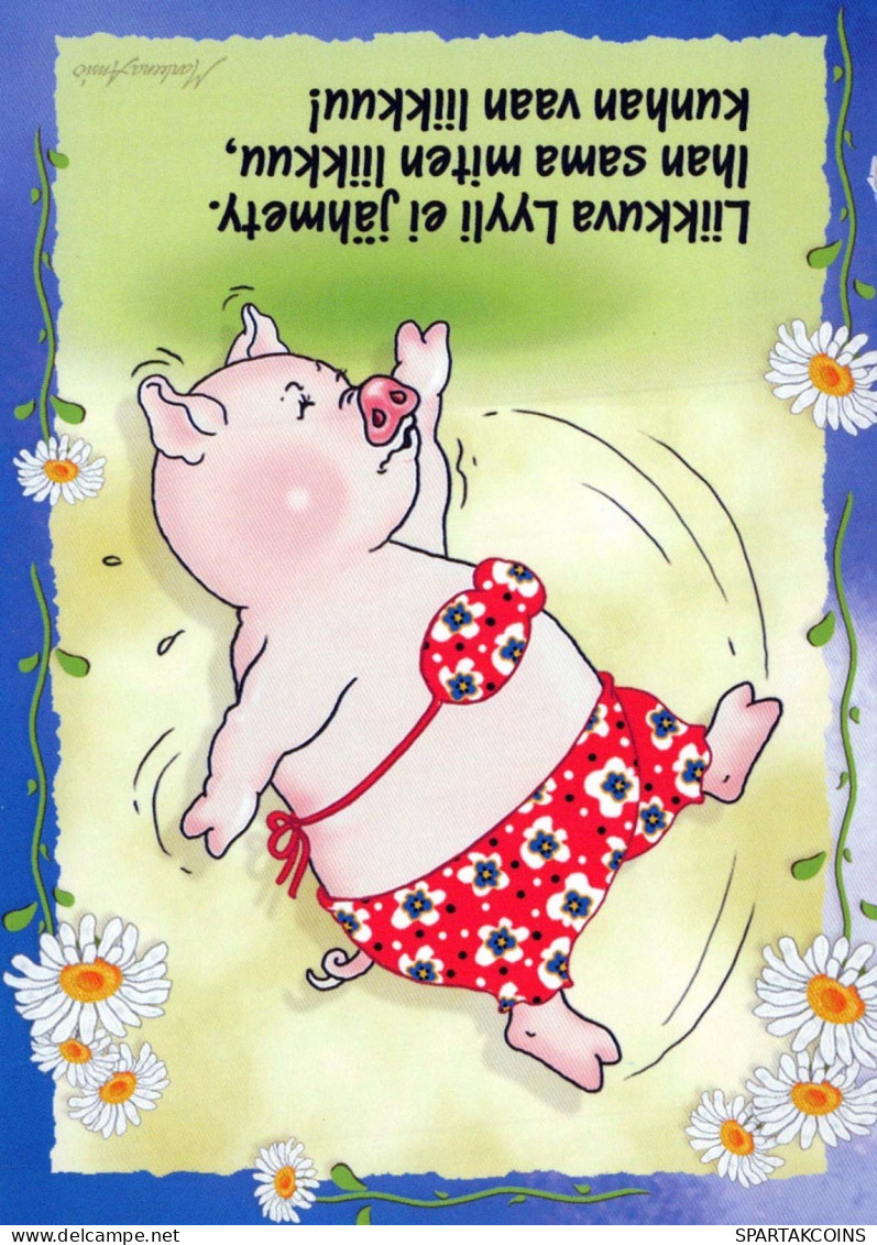 PIGS Animals Vintage Postcard CPSM #PBR744.A - Schweine