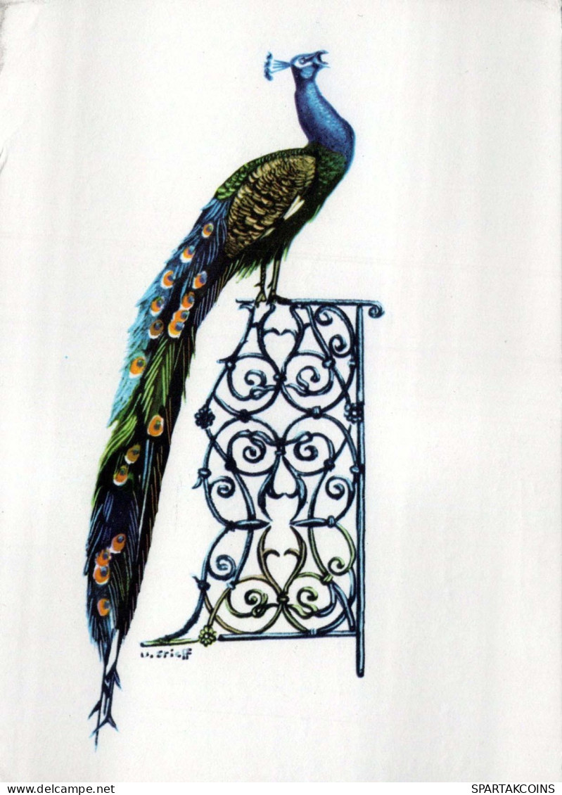 VOGEL Tier Vintage Ansichtskarte Postkarte CPSM #PBR628.A - Uccelli
