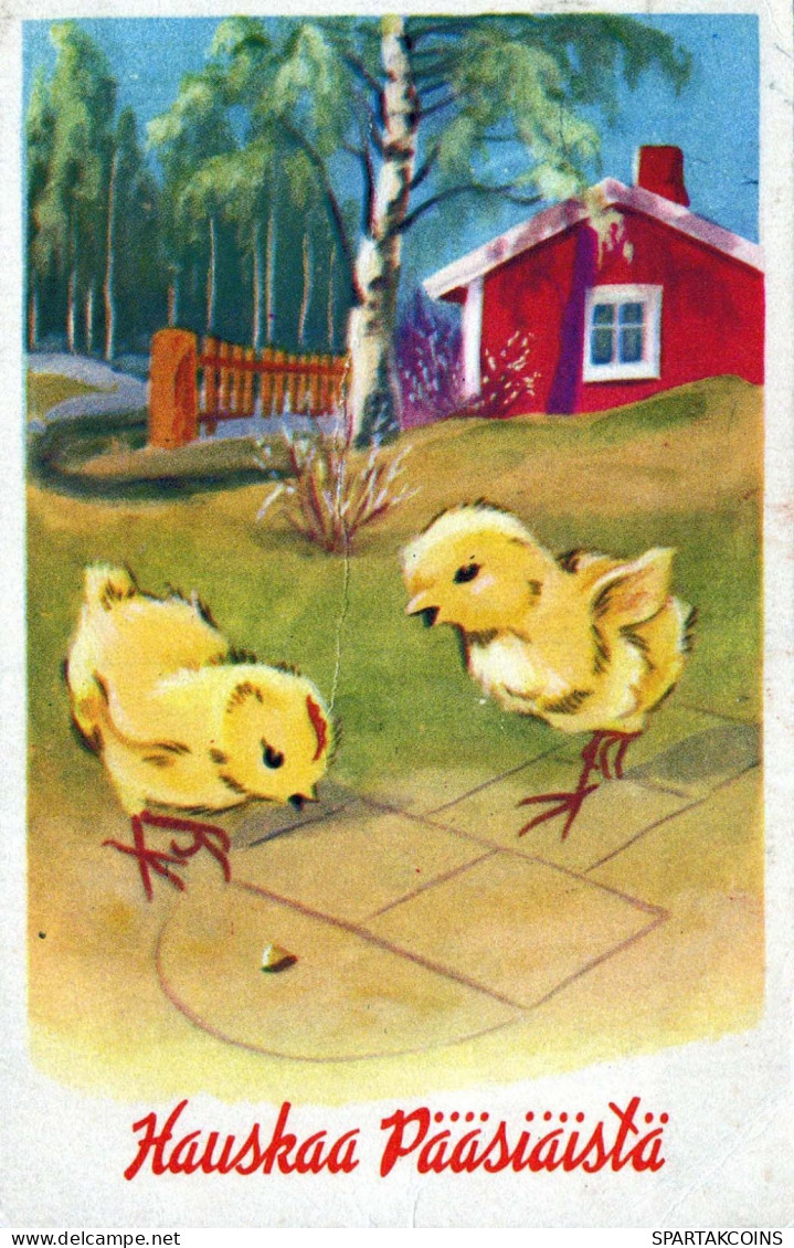 PÂQUES POULET ŒUF Vintage Carte Postale CPA #PKE274.A - Pascua