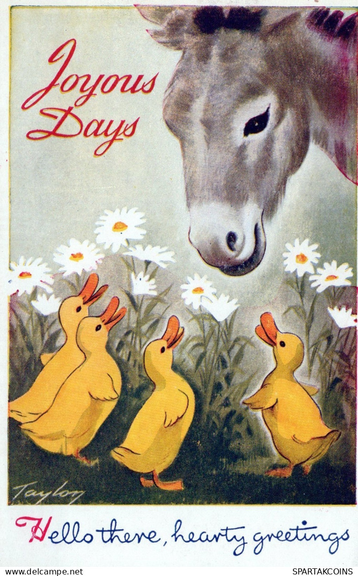 ASINO Animale Vintage CPA Cartolina #PAA156.A - Anes