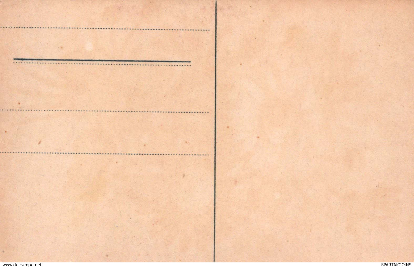 FLORES Vintage Tarjeta Postal CPSMPF #PKG020.A - Flores