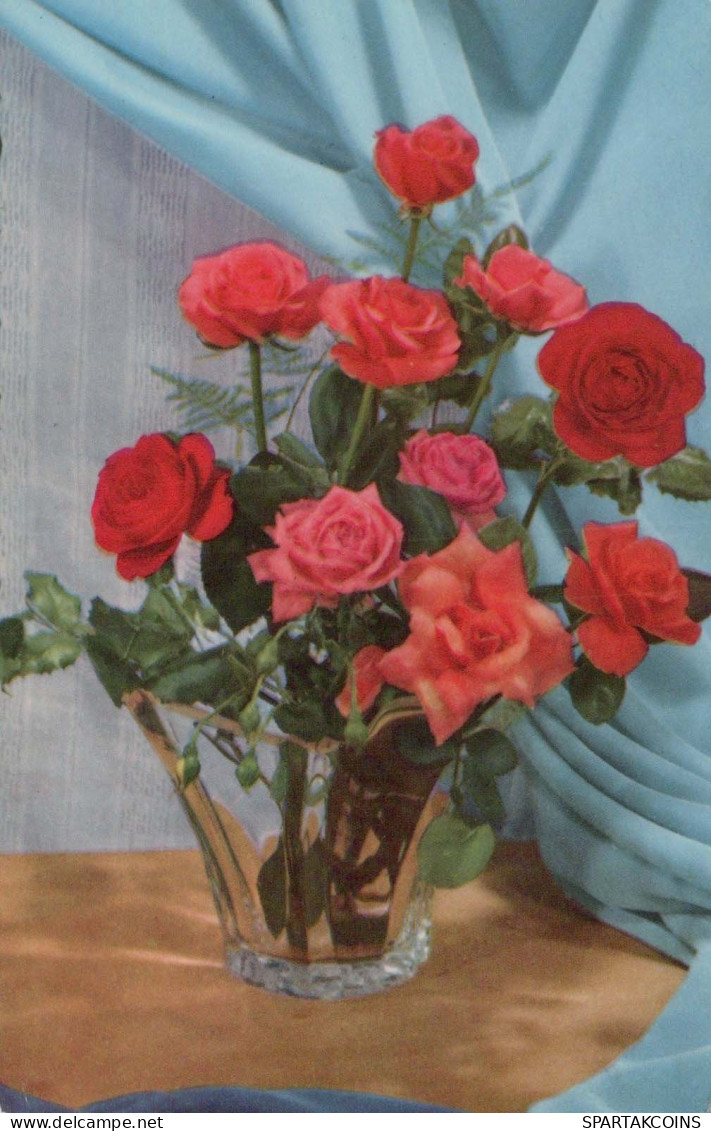 FIORI Vintage Cartolina CPSMPF #PKG031.A - Fleurs