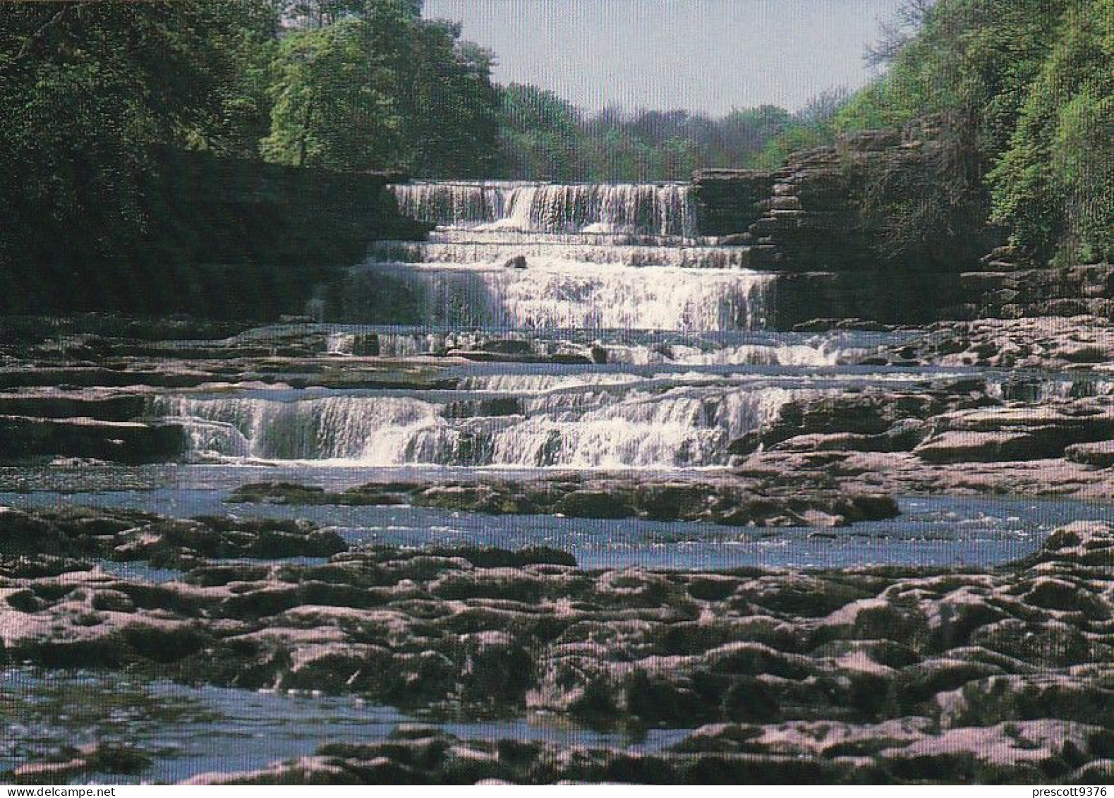 Aysgarth Falls, Wensleydale, Yorkshire -  Unused Postcard -  Uk44 - Otros & Sin Clasificación