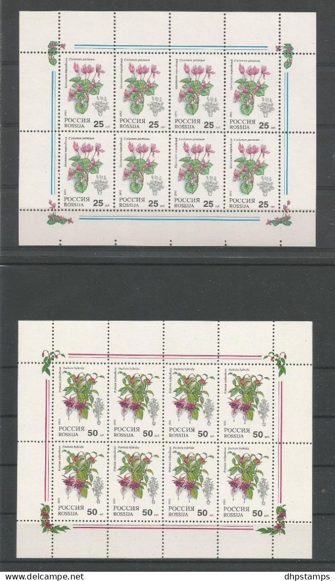 Russia 1993 Flowers  Sheet  Y.T. 5990/5991 ** - Blocs & Feuillets